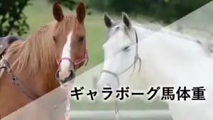画像のアップロード、お疲れ様です!2枚目の「馬体重編」についても、SEO効果を最大化しつつ、読者の興味を引くテキスト案を作成しました。1枚目の「脚質編」と合わせて、統一感のある設定にすることで、ブログ全体の専門性を高めることができます。1. 【脚質編】設定テキスト案(画像:image_6b0d84.jpg)項目テキスト案代替テキスト芝コースを力走する栗毛の馬ギャラボーグの姿と「ギャラボーグ脚質を徹底解剖」という文字のアイキャッチ