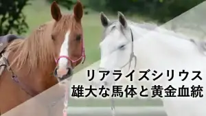 リアライズシリウスの雄大な馬体と黄金血統を象徴するイメージ画像