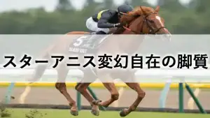 芝コースを力走する栗毛の競走馬スターアニスの画像。「スターアニス 変幻自在の脚質」という文字入り。