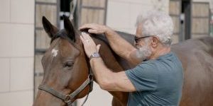 equine-cranial-sacral