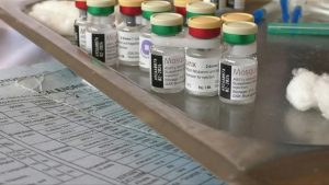 Paludisme vaccin