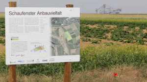 Schild Infopfad Food Strip