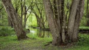 2 BEST PLACES FOR CAMPING IN DEKALB IL | CAMPING NEAR ROCHELLE, IL 5_2021 camping in dekalb il