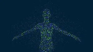 immune system