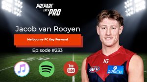 Melbourne Football Club Key Forward