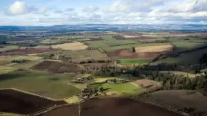 Insights and News Speyside Capital