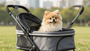 A happy small dog enjoying the outdoors in the best pet stroller for small dogs.