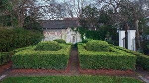 Read more about the article Shrub Pruning: What to Know