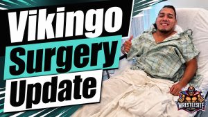 El Hijo Del Vikingo Has Successful Surgery