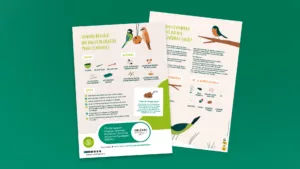 Fiche sur la biodiversité pour créer des bombes de graines