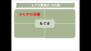 ヨモギの収穫