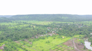 img (7)