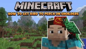 How to Get Bird to Perch on Shoulder Minecraft