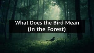 What Does the Bird Mean in the Forest