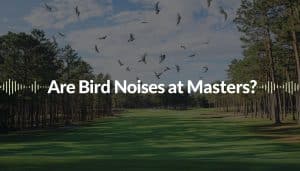 Are Bird Noises at Masters Real?