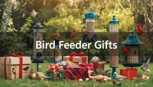 Bird Feeder Gifts: