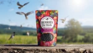 Berries for Birds