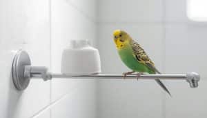 How to Make Bird Shower Perch