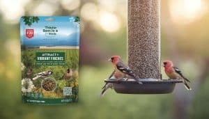 Thistle Seeds for Birds: Attract Vibrant Finches with Premium Wild Bird Food