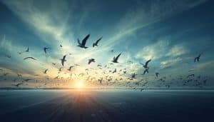 Bird Migration And Molting