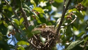 When Do Baby Birds Leave the Nest