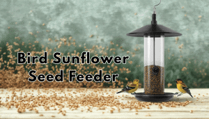 Bird Sunflower Seed Feeder