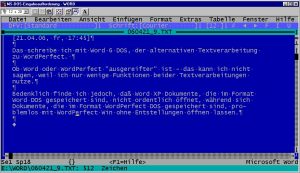 MS Word 6 - der Gigant der Textverarbeitung jener Jahre