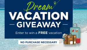 Read more about the article Sweepstakes Dream Prizes Could Become Reality