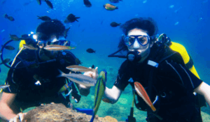 Buceo en Aguas Abiertas