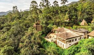 Silverback Lodge