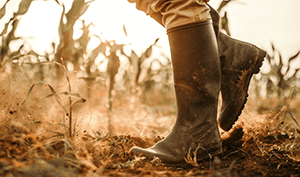 Visuel des bottes d'un agriculteur dans un champ poussiéreux
