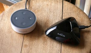 Alexa und ihr Freund, der RM Pro