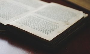 informe lectura