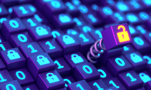 Puma Data Breach 