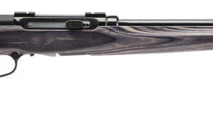 SAV A17TS 17HMR SA 10RD LAM