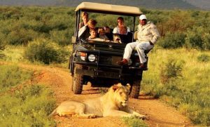 African Safari Tours in Uganda