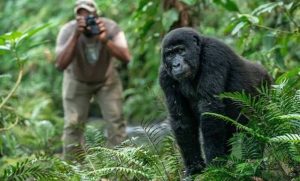 Best Trekking Tours and Safari Holidays in Uganda