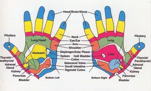 hand reflexology