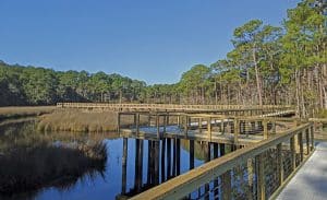 Shepard State Park Marshwalk