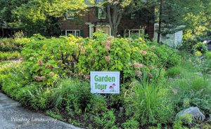Read more about the article If You Insist on Mulch