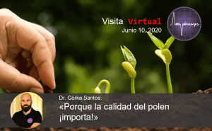 Invitación para la visita virtual