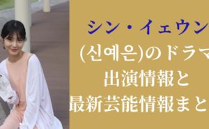 シン・イェウン(신예은)のドラマ出演情報と最新芸能情報まとめ