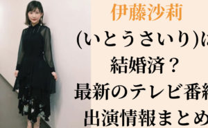 伊藤沙莉(いとうさいり)は結婚済？&最新のテレビ番組出演情報まとめ