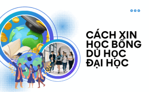 Các bước xin học bổng du học đại học