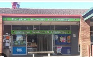 Colyton Seafood & Takeaway — fish and chip shop in Colyton, New South Wales