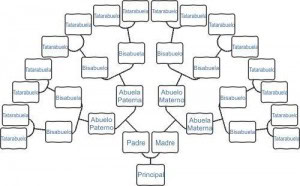 Árbol genealógico Árbol genealógico