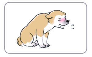 咳をする茶色の犬