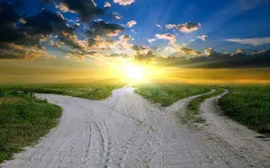 The many work options for holistic therapists