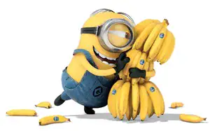 Bananas - Top 5 foods that help lower blood pressure    