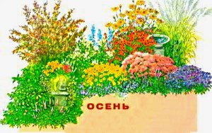 klumby-nepreryvnogo-cveteniya-iz-odnoletnikov